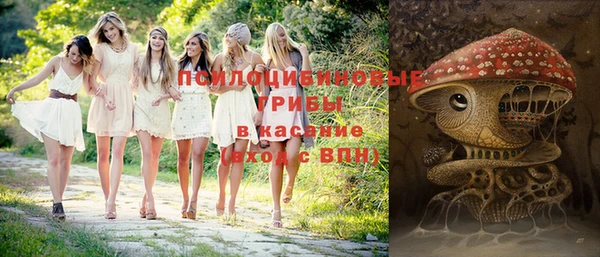 ECSTASY Лабытнанги
