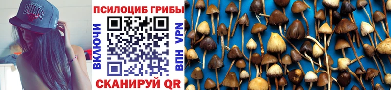 Псилоцибиновые грибы Magic Shrooms Тейково