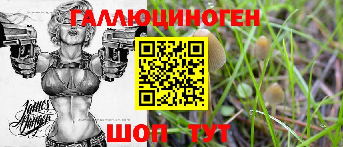 Псилоцибиновые грибы Psilocybe  закладка  Тейково  Вход с VPN 